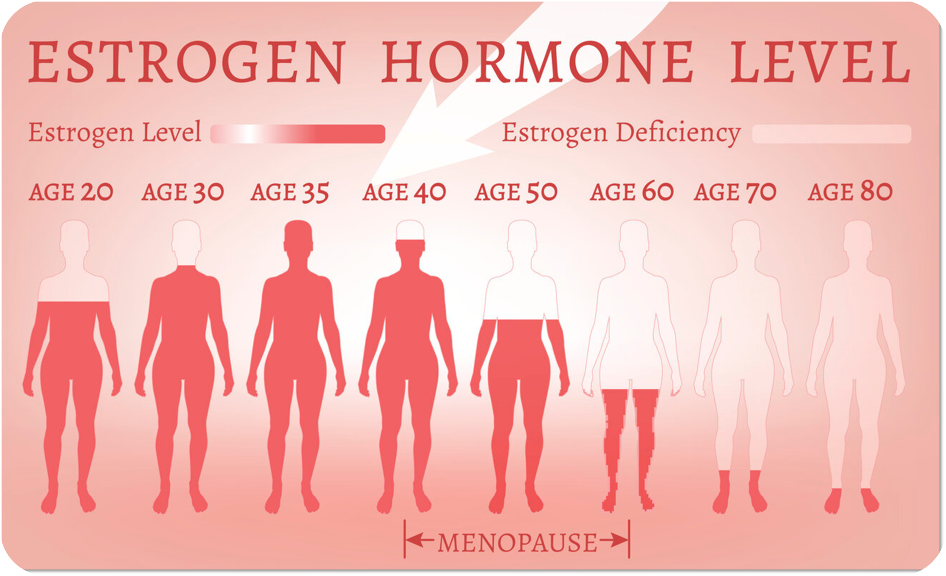 estrogen_hormone_level-modified